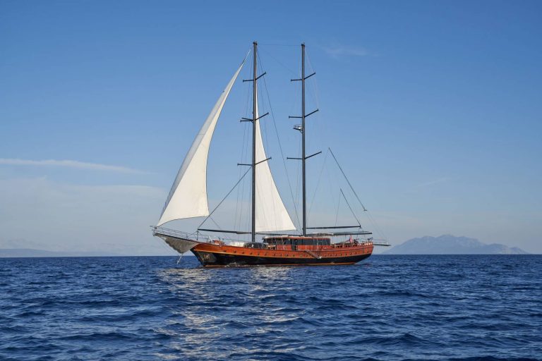 Stella Maris