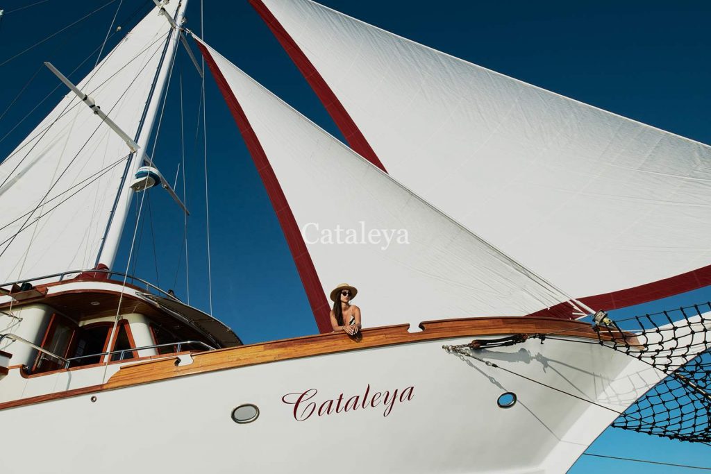Cataleya