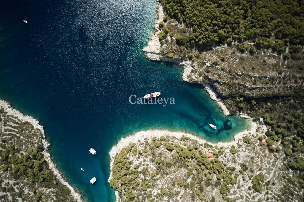 Cataleya